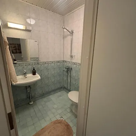 Sillankorva Huoneisto Viitasaari